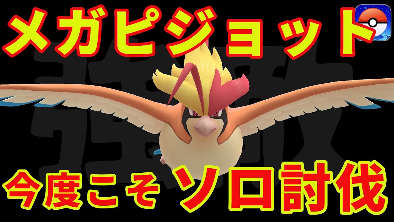 メガピジョットにソロリベンジ