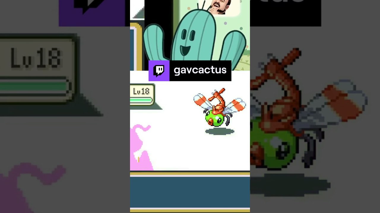 Gav summoned a Yanma | gavcactus on #Twitch