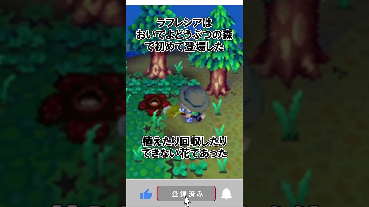 ラフレシアに関する雑学 #どうぶつの森 #雑学 @ほのげ
