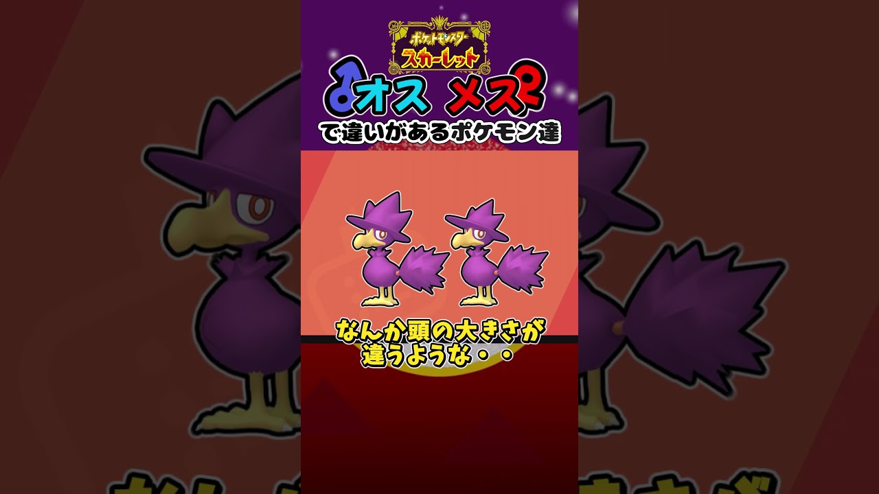 【ポケモンSV:色違いポケモン】オスとメスで姿が違うポケモン　ヤミカラス/キリンリキ(再アップ)  #shinypokemon  #色違いポケモン #ポケモンsv #ゼロの秘宝 #色違い制覇