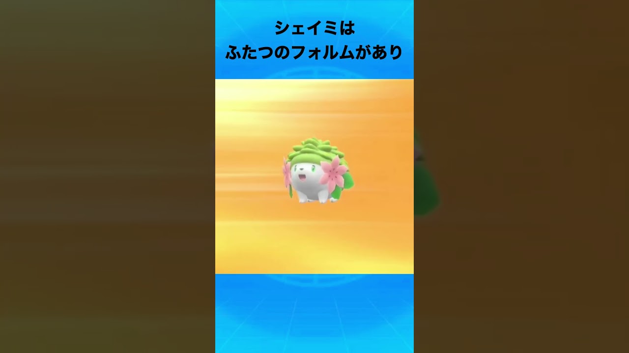 シェイミについて #ポケモン #シェイミ #はなはこび