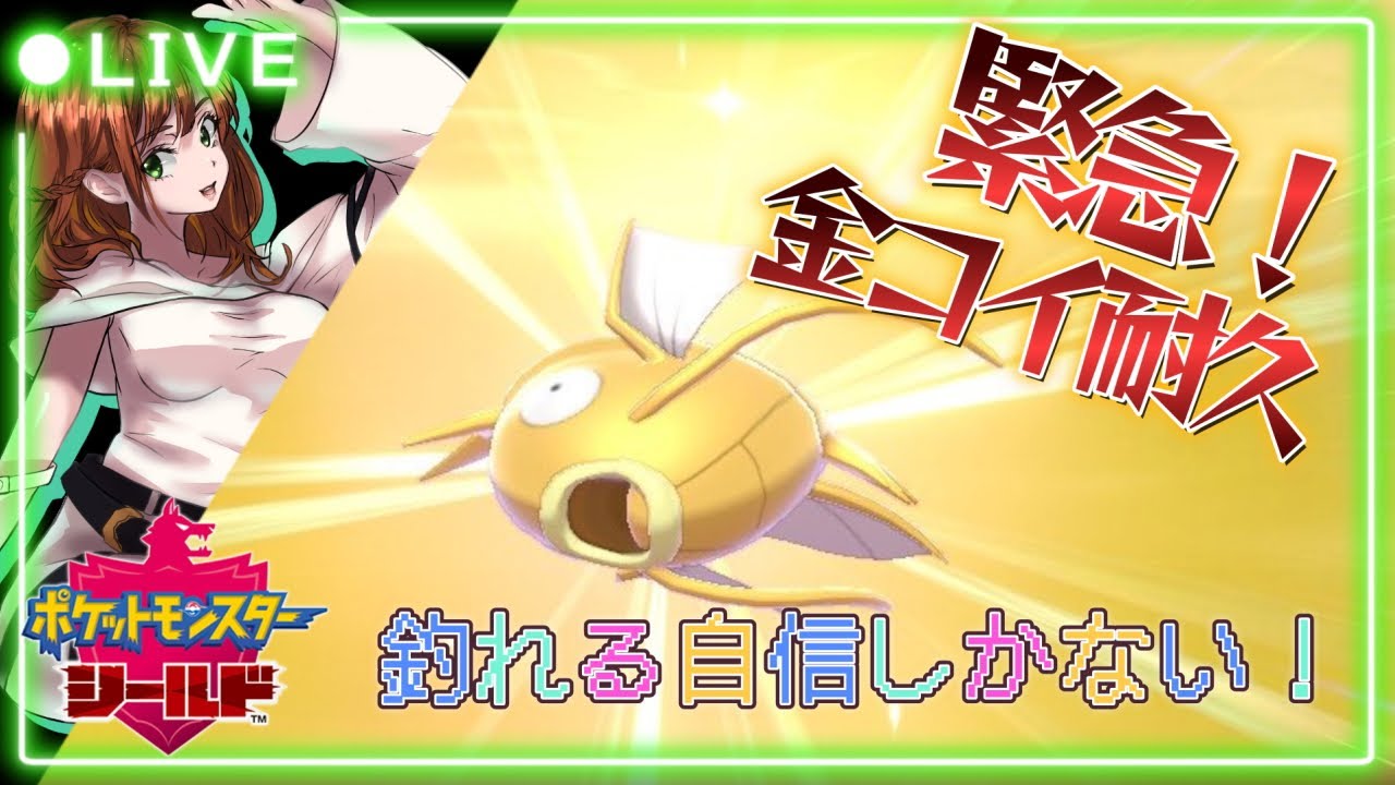 【ポケモン：剣盾】part10　金コイ釣れるまで進めません！　#人生縛り　#金コイキング耐久　#shorts