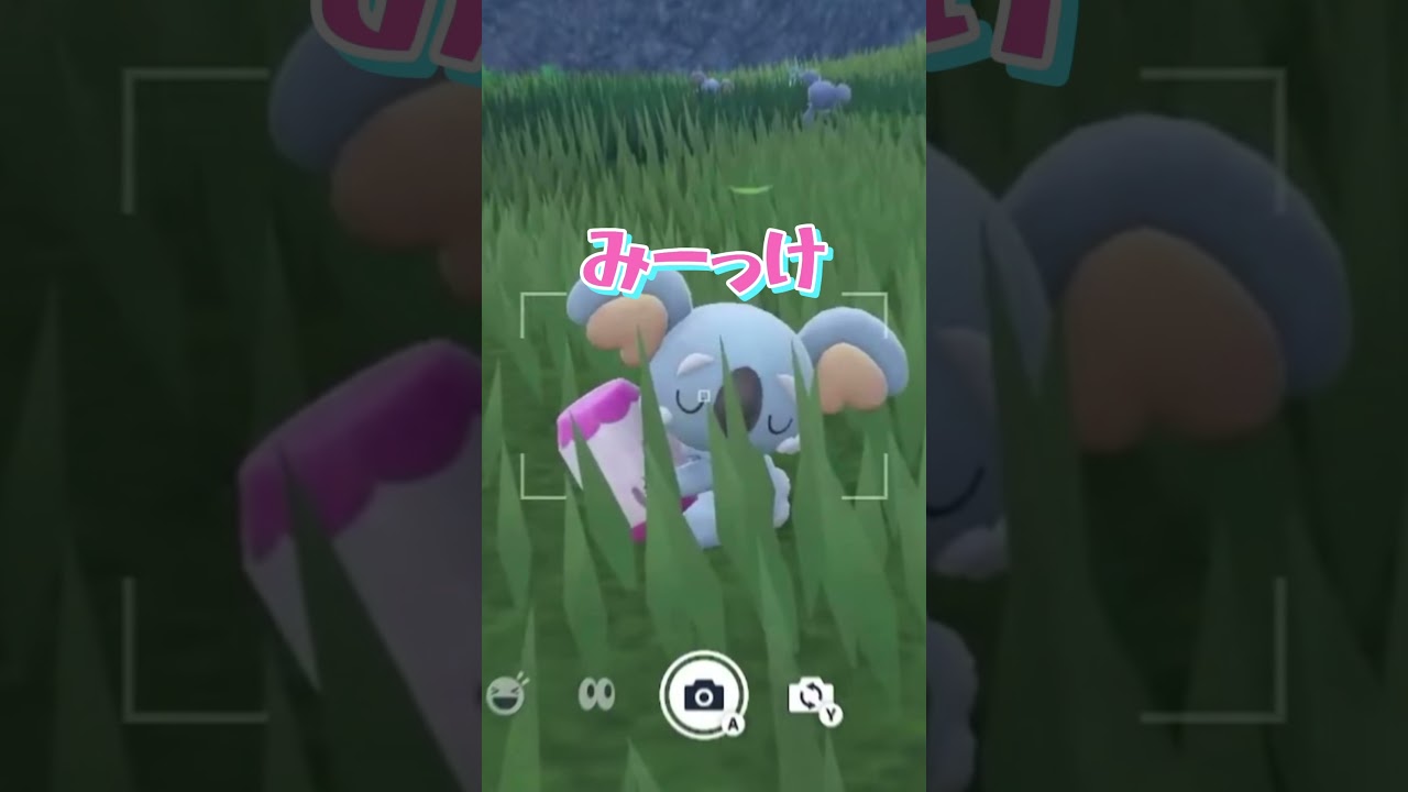 ネッコアラの色証厳選 #ポケモンsv