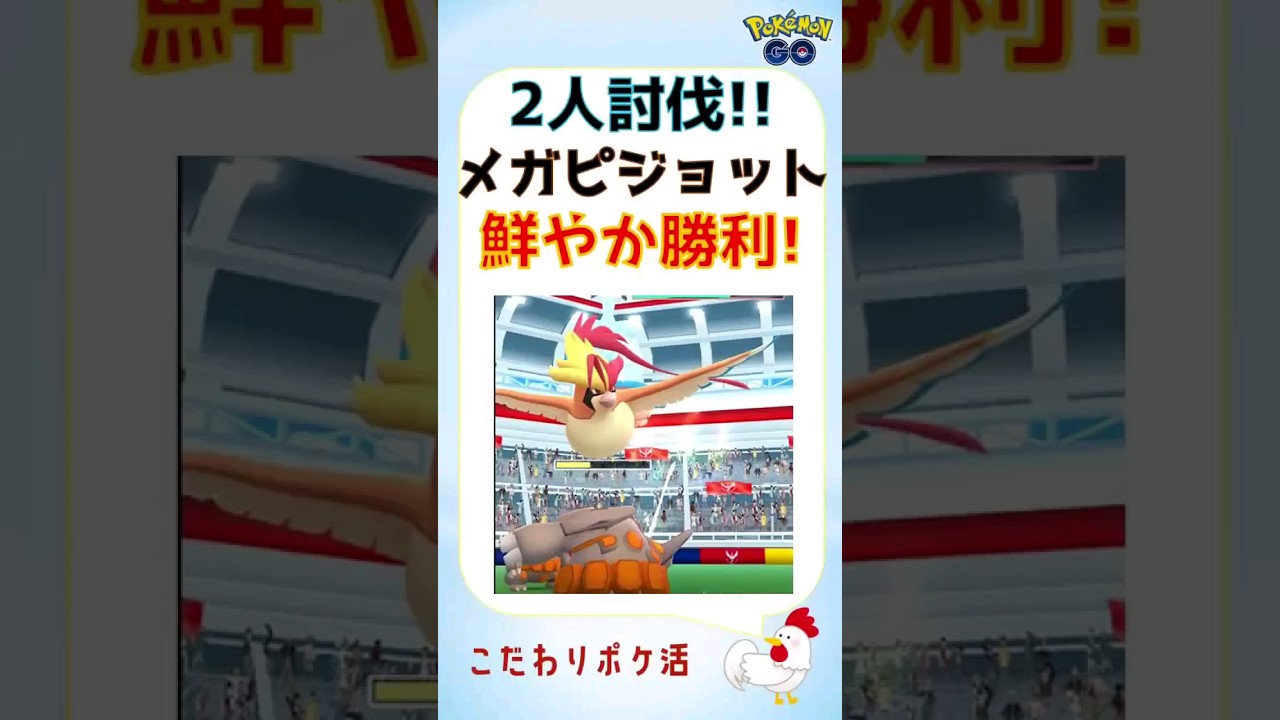 【2人討伐！メガピジョット　鮮やか勝利s】 #pokemongo #ポケモンgo #攻略 #レイドバトル