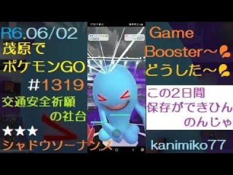 茂原でポケモンGO #1319