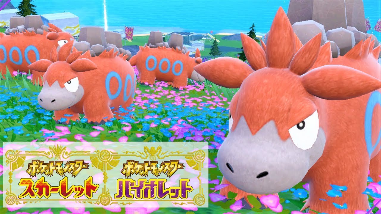 【カッコいい】バクーダ６匹に囲まれて癒されピクニック【ポケモンSV】