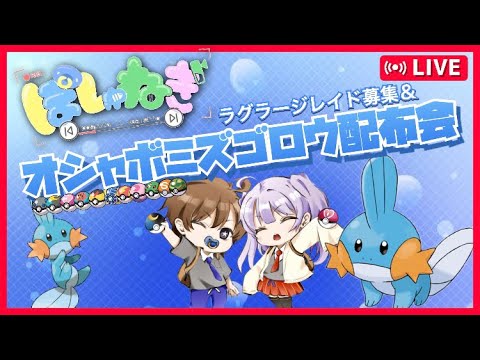 【ポケモンSV】オシャボ全11種ミズゴロウ配布＆ラグラージレイドワンパン周回【ぽしゅねぎ】＃ポケットモンスター　＃ポケモン最新情報　＃ポケモン交換　＃オシャボ交換　＃オシャボ配布　＃色違い　＃伝説