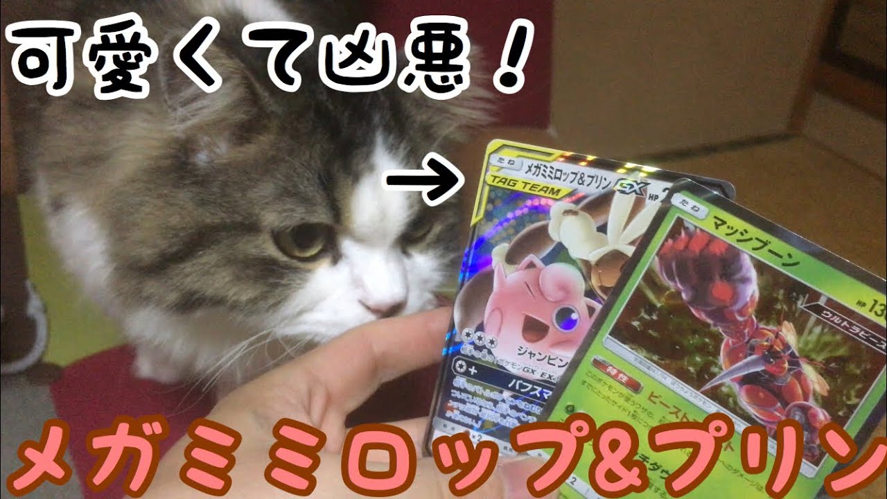 [ポケカ]メガミミロップ&プリンが強い！