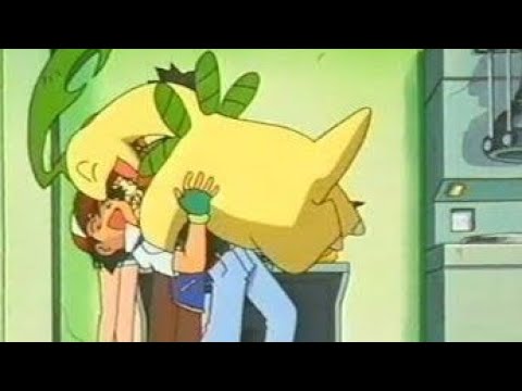 ベイリーフが可愛すぎる！