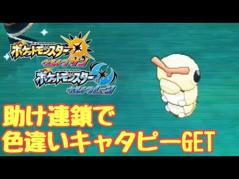 【ポケモンUSUM】助け連鎖で色違いキャタピーGET！【ウルトラサン・ウルトラムーン】