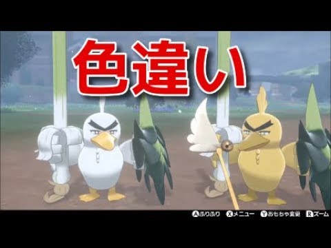 【ポケモン ソード】カモネギ、ネギガナイト 色違い『ポケットモンスター ソード・シールド』