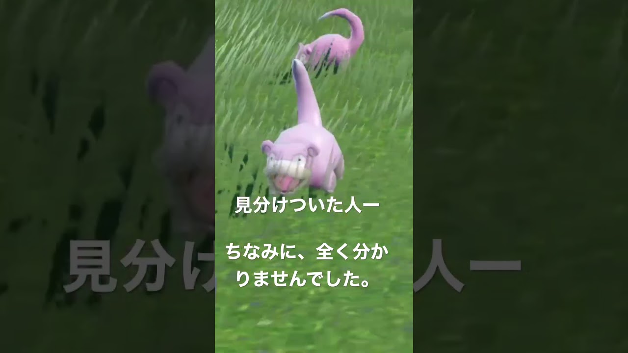 ヤドンの色違いどーこだ？