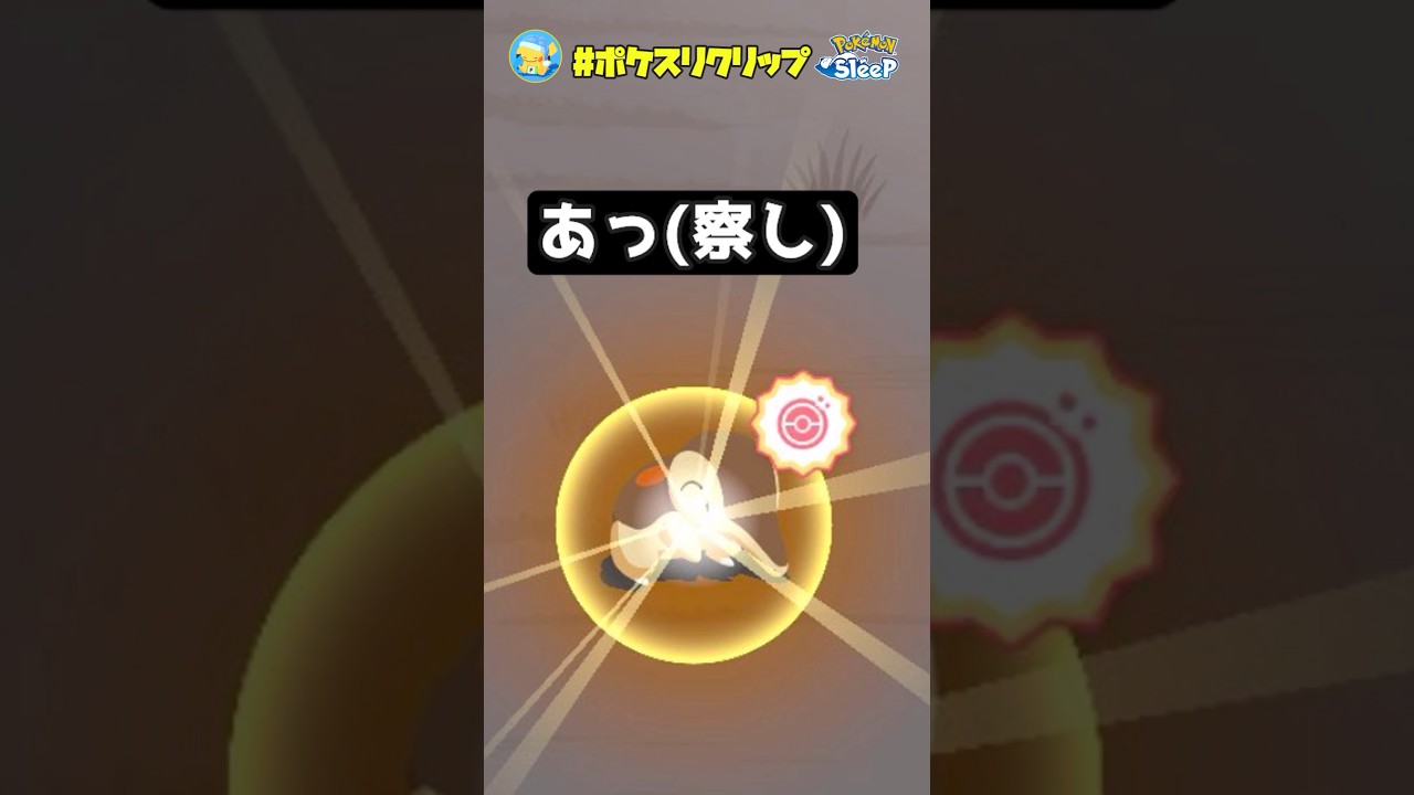 光り輝くヒノアラシの性能が、、、【ポケモンスリープ】#ポケスリクリップ #shorts