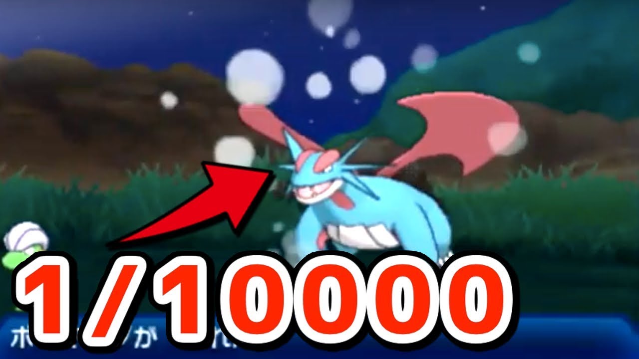 これ、確率1/10000のボーマンダでした・・・【ポケモンUSUM】