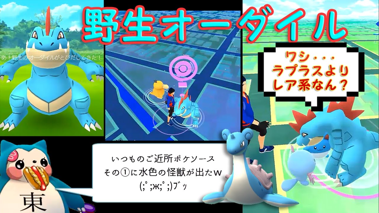 【ポケモンGO】野生オーダイル2体GET映像!ラプラスよりレア?捕獲数比較