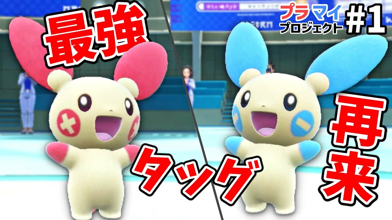 ダブルバトル初心者によるプラスルマイナンとの挑戦。【プラスルマイナンプロジェクト #１ / ポケモンSV実況】