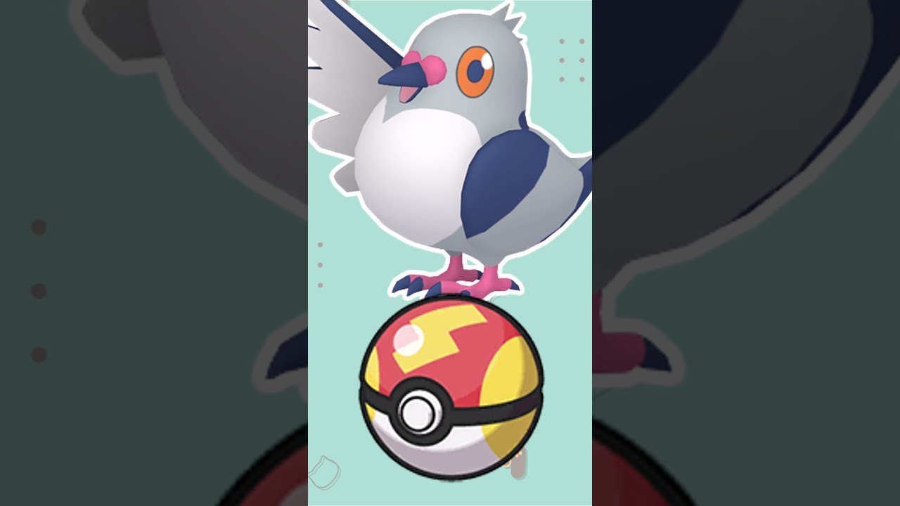 【オシャボ】色違いマメパトみんなは何ボールに入れる？#shorts #ポケモンsv #ポケモンsv色違い   #pokémon