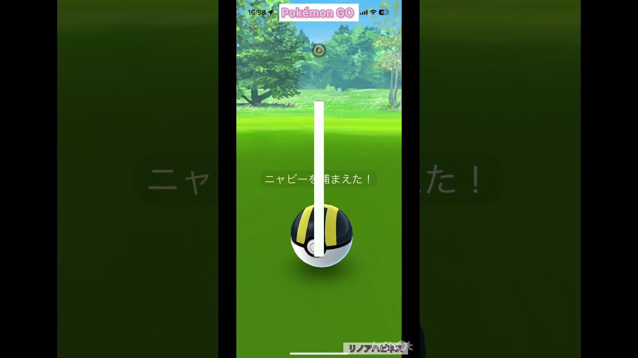 #ポケモンGO  3月のコミュニティデイでニャビーのイロチを捕まえる！