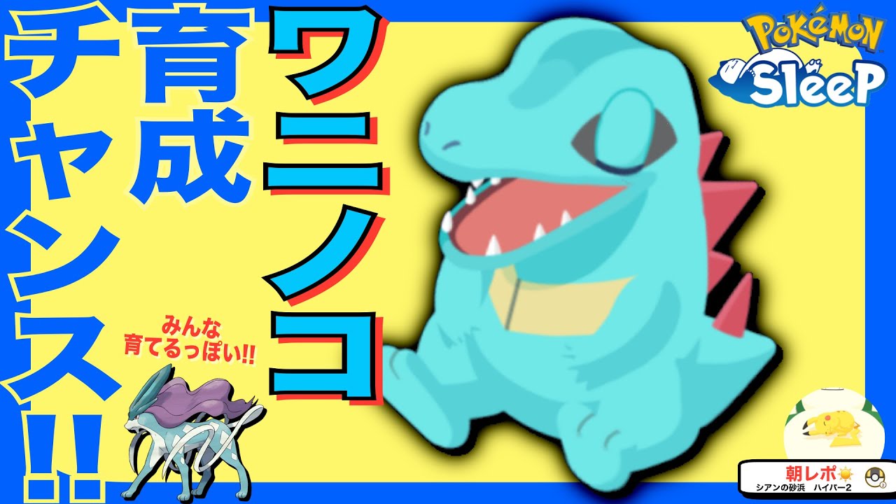 ワニノコの育成ボーナスタイム、来るかも!!🐊【ポケモンスリープ】