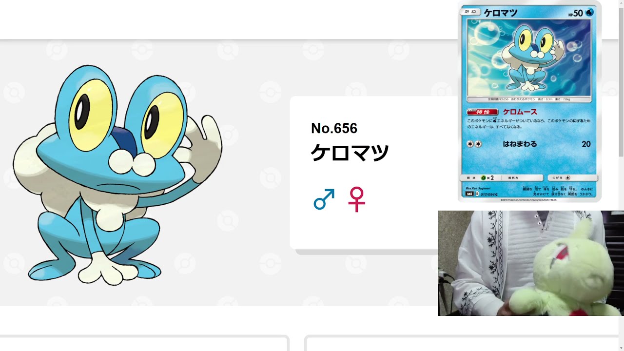 毎日ポケモン図鑑19日目　全国図鑑No.656ケロマツ