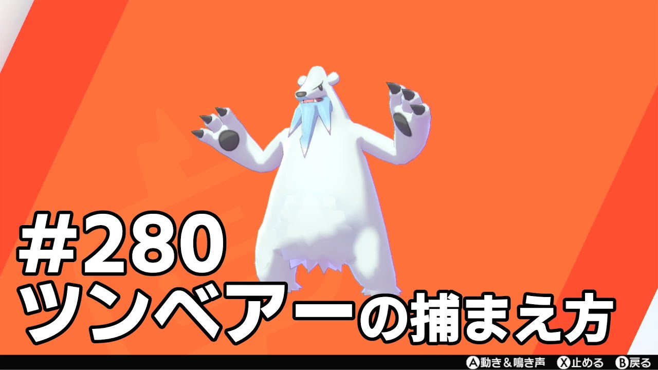 ツンベアーを探している方に見てほしい動画