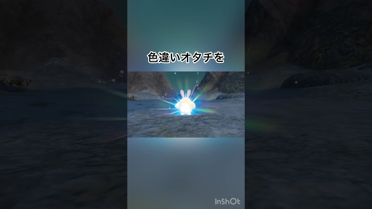 【ゼロの秘宝/碧の仮面】　色違いオタチを色違いオオタチに進化させたら可愛すぎて身悶えた🥹💕　【ポケモンSV/PokemonSV】