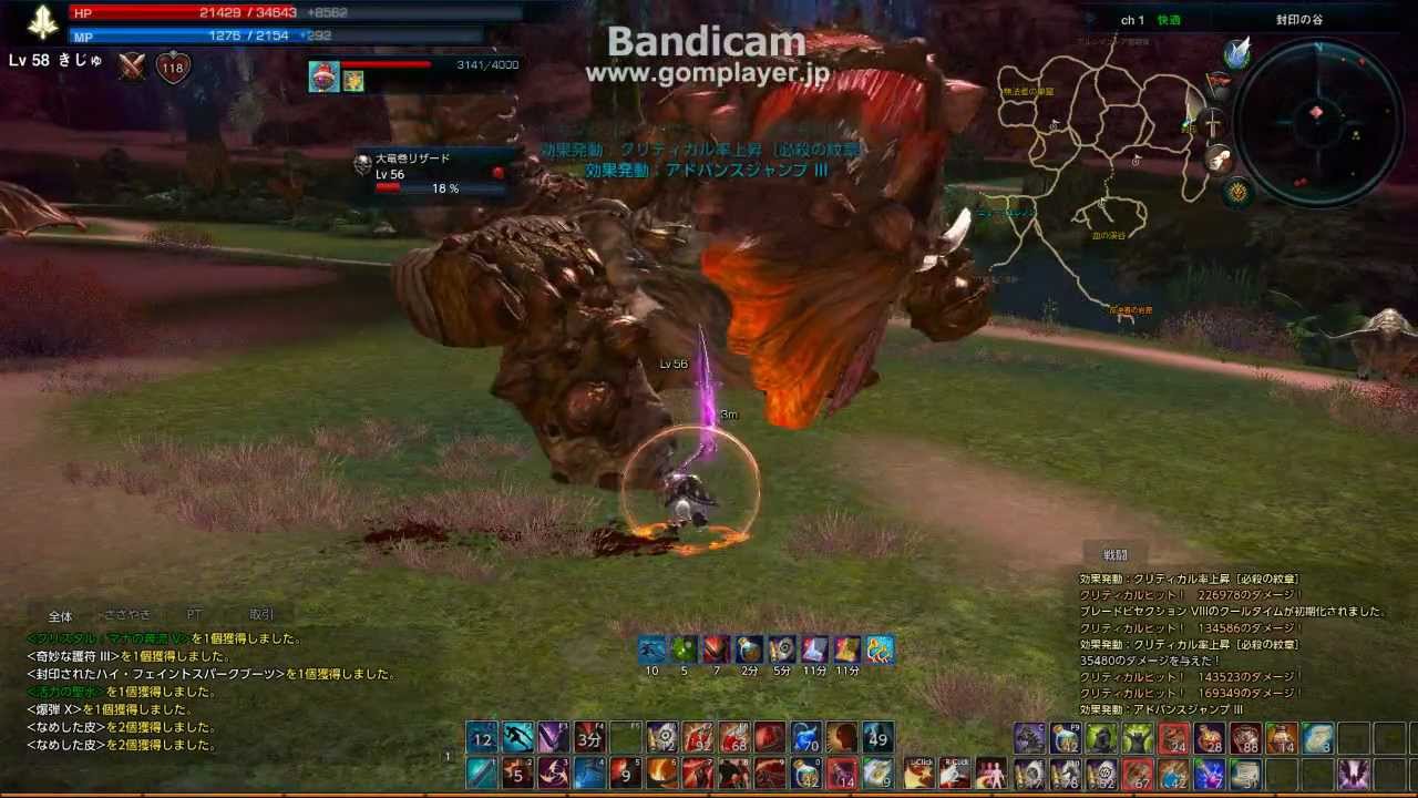 TERA　大竜巻リザード　16秒　スレイヤー　フューリー禁止必死狩り