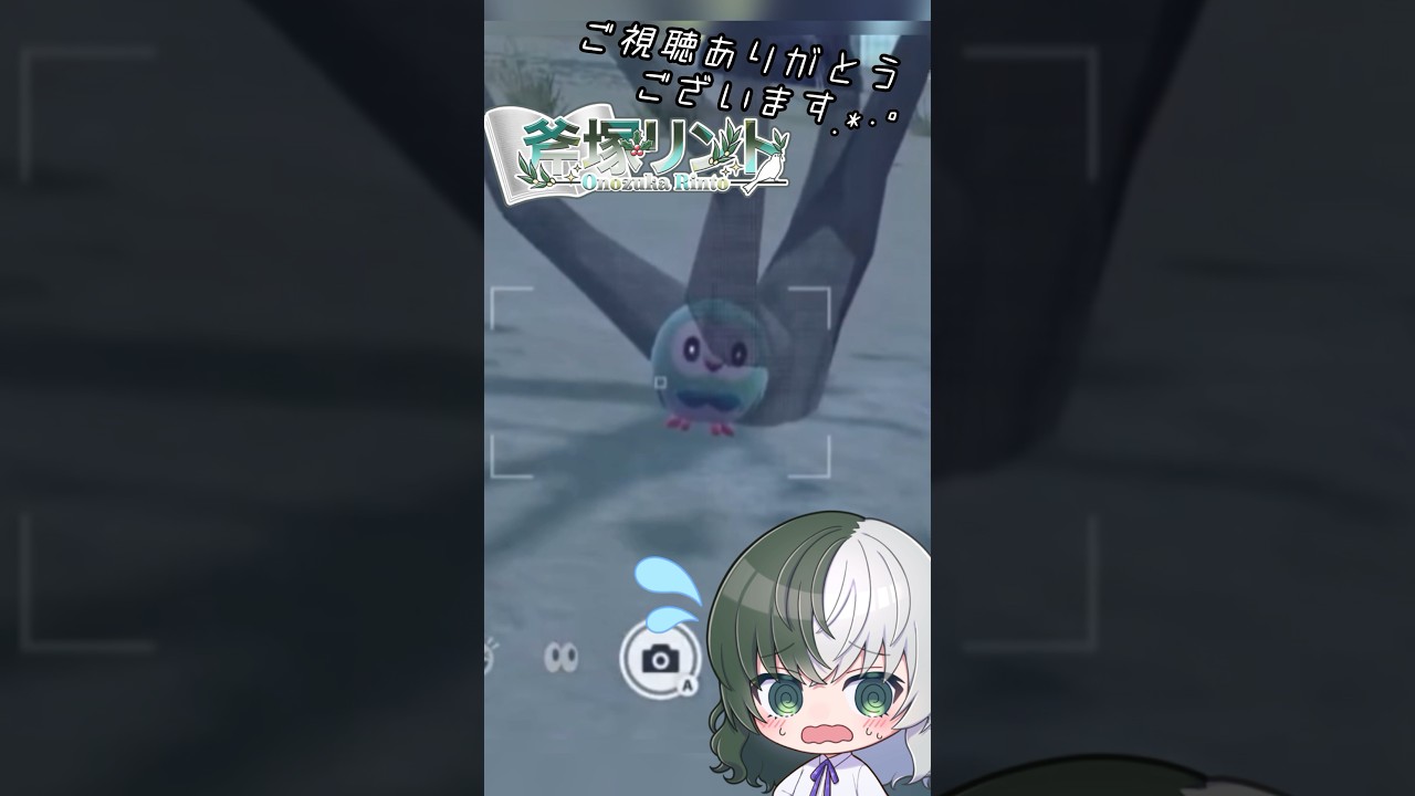 【ポケモンSV】たまたま話しかけた相手が色違いモクローちゃんだった #shorts #pokemon