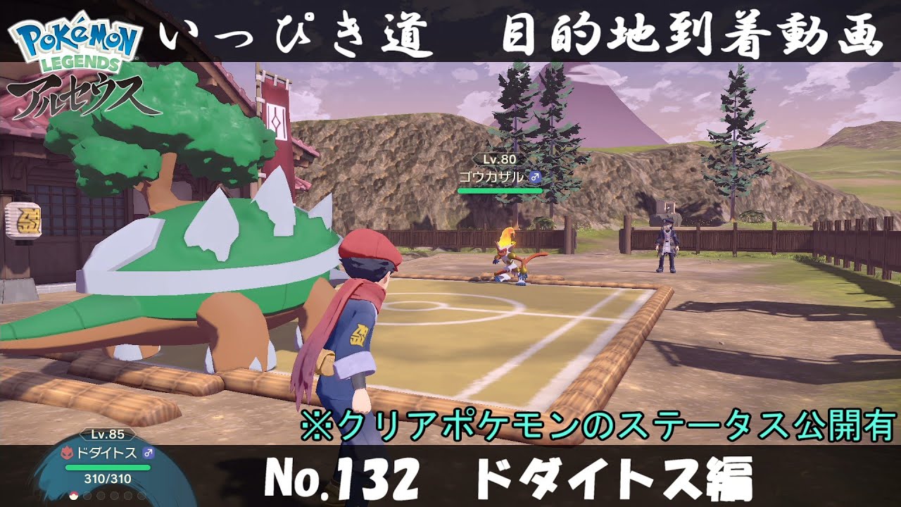 【いっぴき道攻略】No.132 ドダイトス編【Pokémon LEGENDS アルセウス】