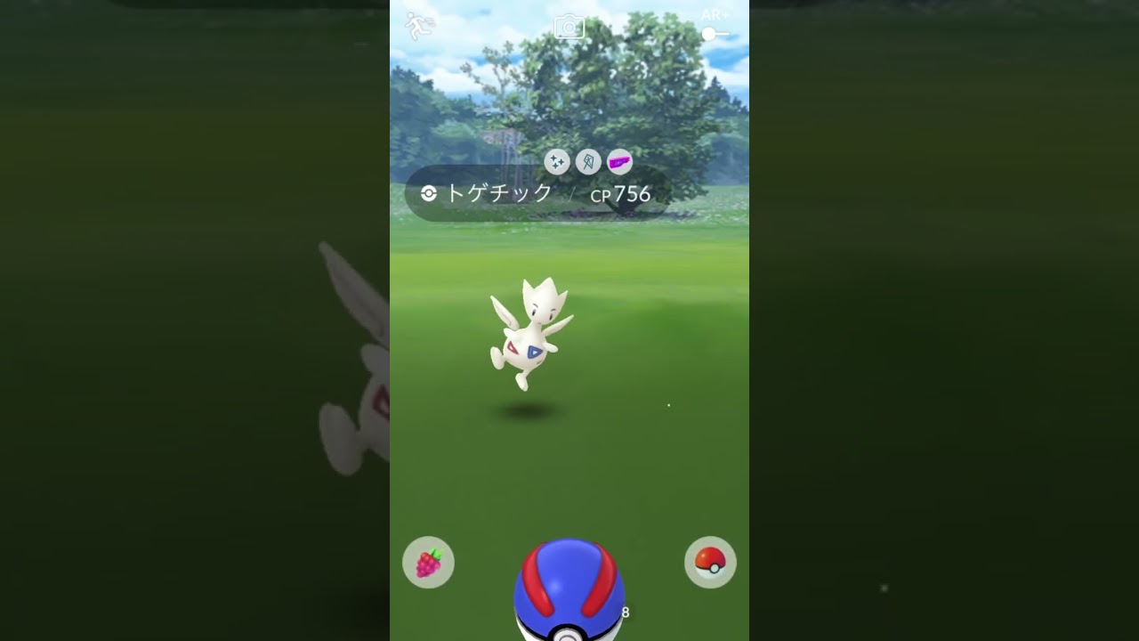 『色違いトゲチック』をGET！ 4月のコミュニティデイ【ポケモンGO】#色違いポケモン #ポケモンgo #ポケモンgo色違い #コミュニティディ