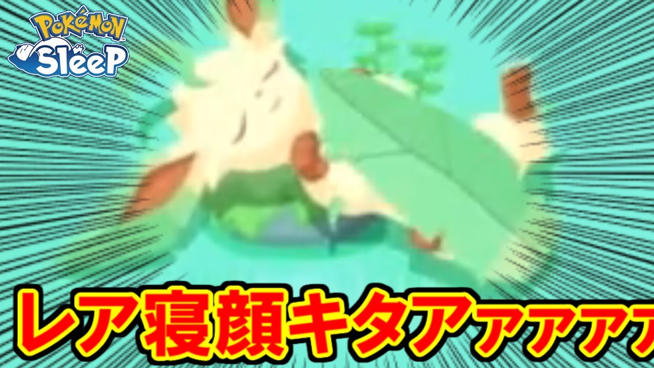 リーフィアの星３寝顔が可愛いすぎる・・・。【ポケモンスリープ】