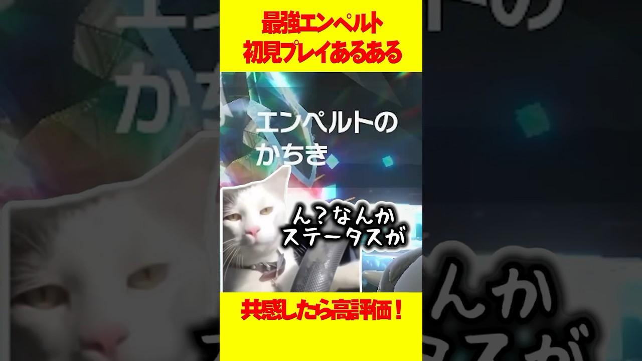 最強エンペルト初見は絶対こうなる #ポケモンsv #猫ミーム