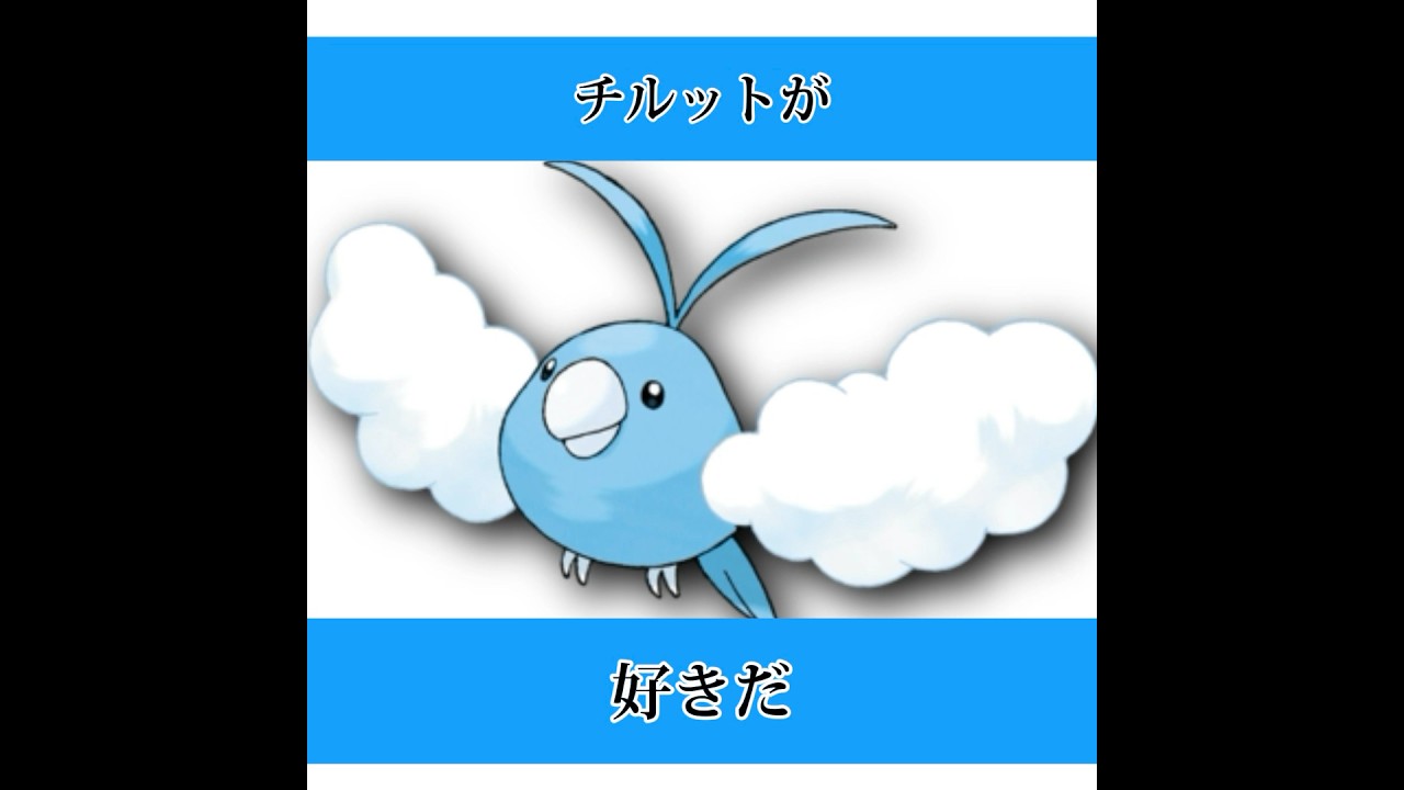 チルットが好きだ