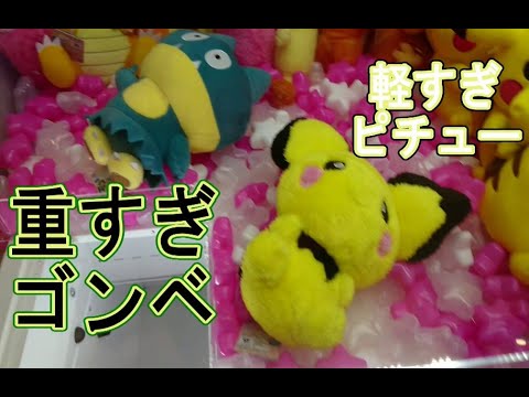 ＃１０８【ゴンベ＆○○○○】二兎追うものは一兎も得ずといいますが、１匹狙っていたら２匹も得れちゃった！？