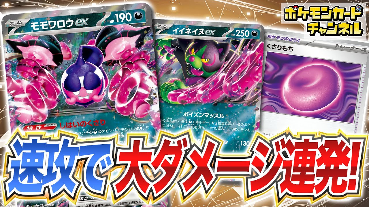 【ポケカ対戦】お手軽に大ダメージ連発！イイネイヌexが止まらない！？【ナイトワンダラー/ポケモンカード】