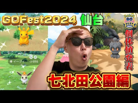 GOFest2024仙台！マーシャドーの個体値発表！色違いが大量に！！【GOフェス】【ポケモンGO】