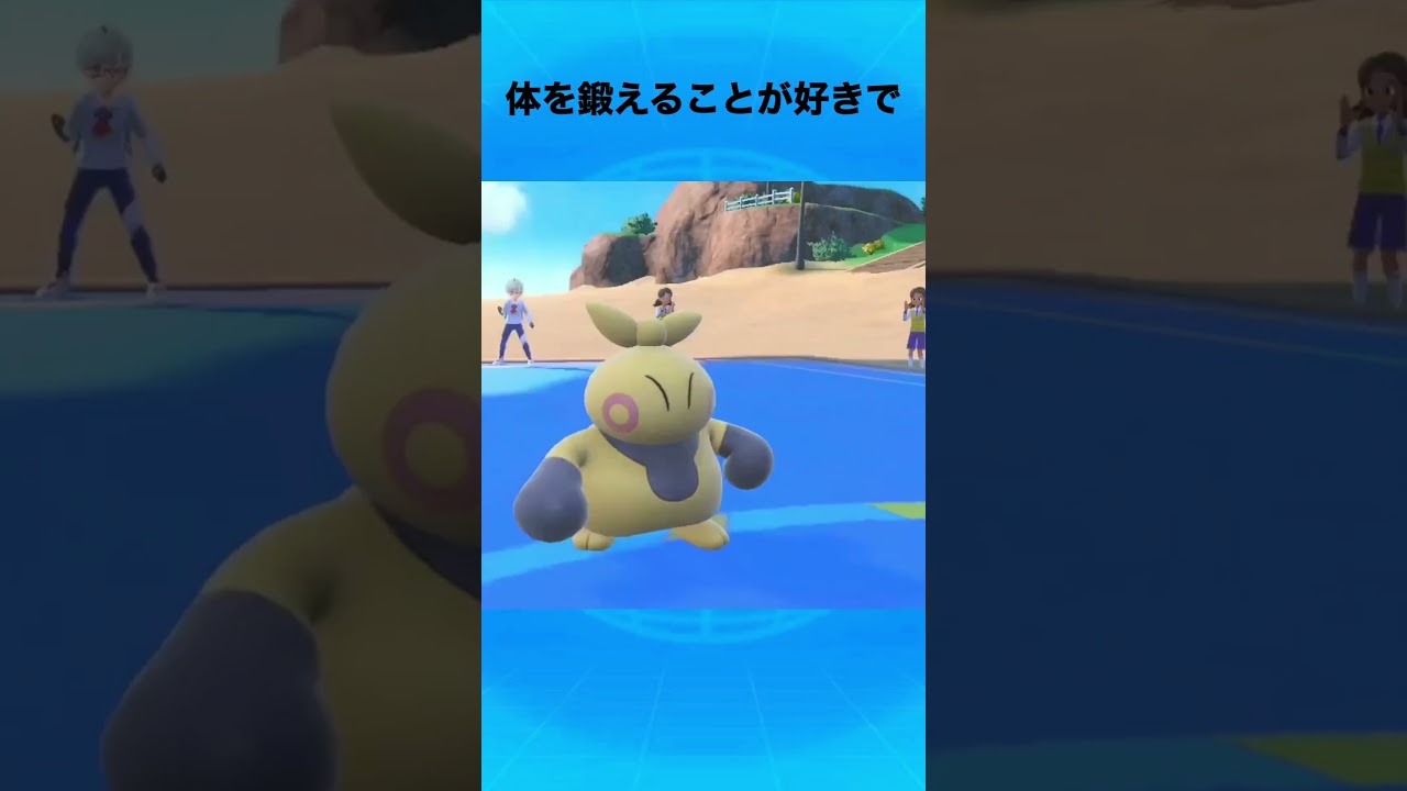 マクノシタについて #ポケモン #マクノシタ