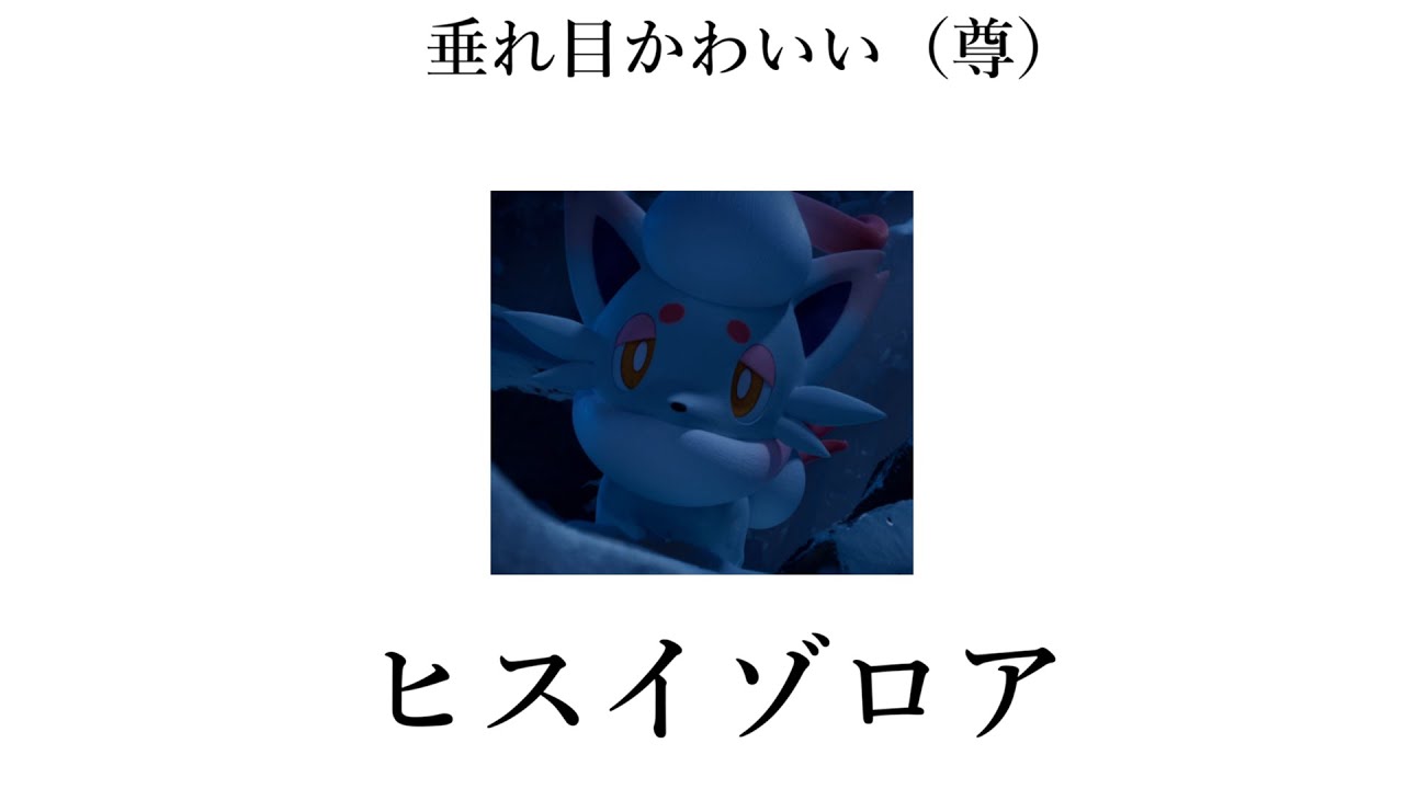 ゾロア （ヒスイのすがた ）で遊ぼう　【 ポケモン レジェンド アルセウス 】