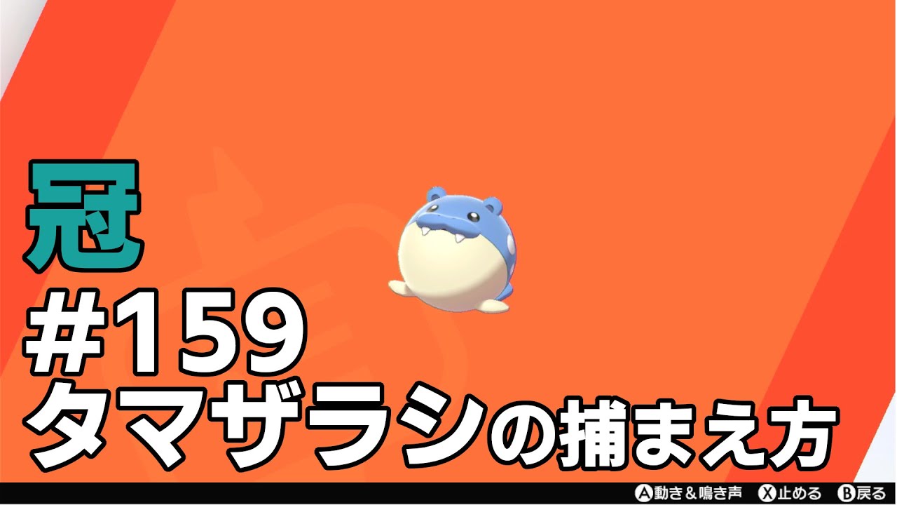 タマザラシを探している方に見てほしい動画