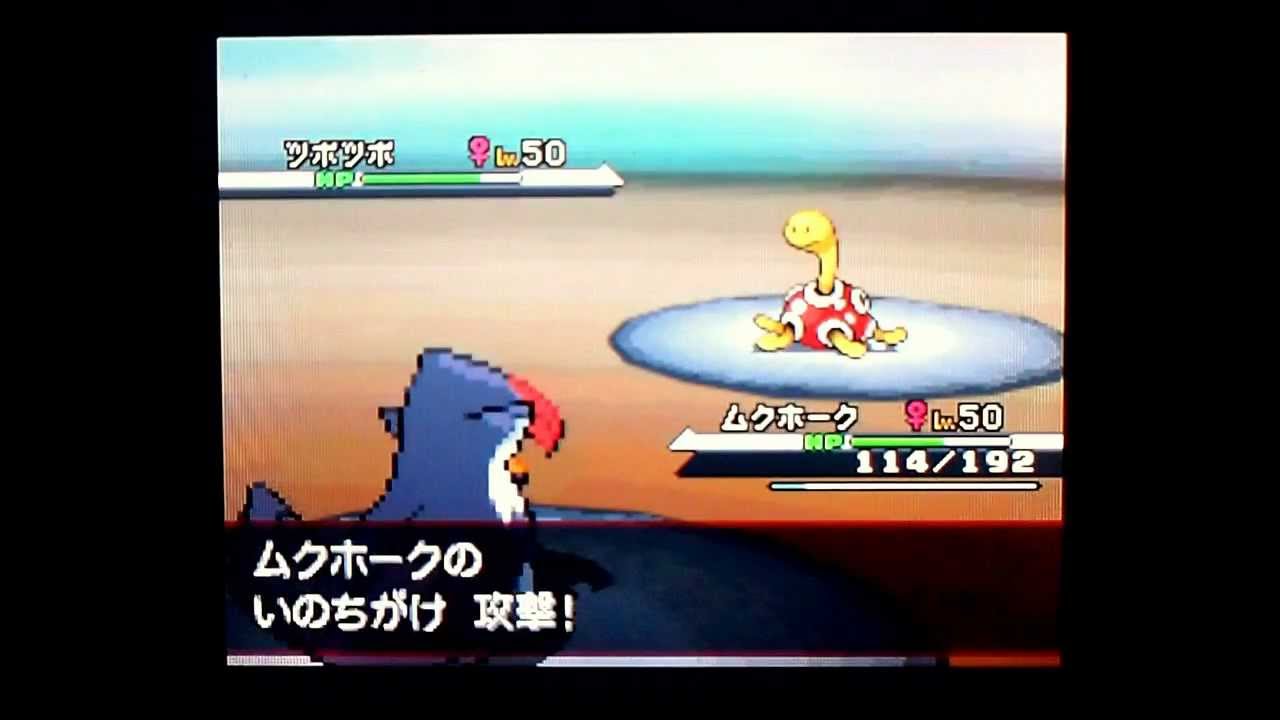 ムクホークがいのちがけ in シングルバトル