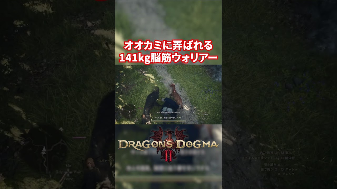 【ドラゴンズドグマ2】オオカミに弄ばれるウォリアー【Dragon's Dogma 2】#dd2 #ドラゴンズドグマ2 #ウォリアー