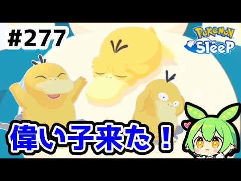 【睡眠リサーチ】＃277『勿体ない性能のコダック来た！』【ポケモンスリープ/pokemon sleep】【無課金ゆっくり実況ずんだもん】