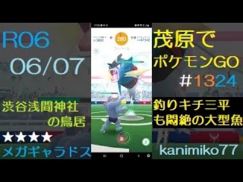 茂原でポケモンGO #1324