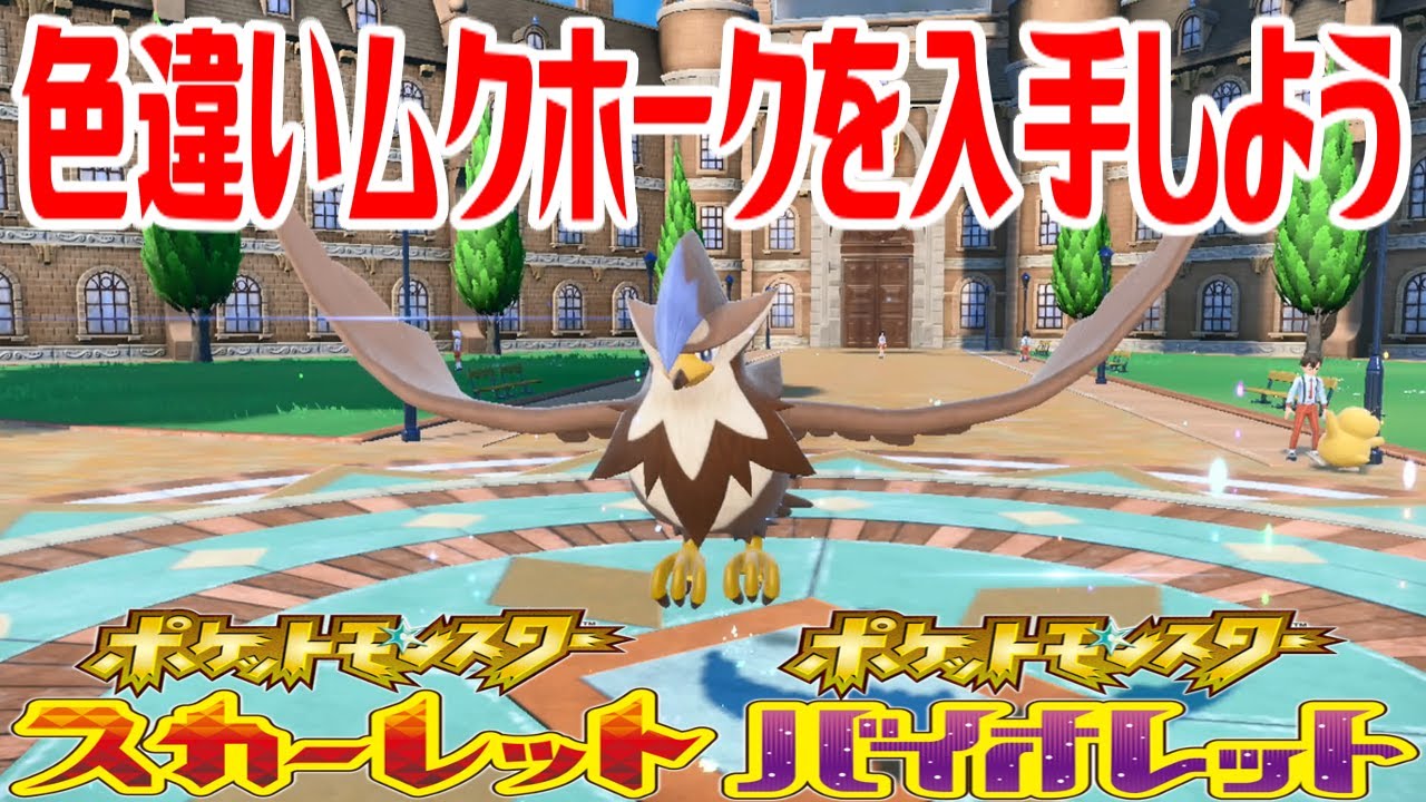 【ポケモンSV】色違いムクホークを入手しよう 進化入手【ポケットモンスター スカーレット・バイオレット】Pocket Monsters