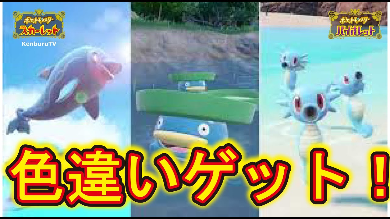 【#ポケモンスカーレットバイオレット】視聴者参加型！大量発生イベントナミイルカ色違いレアな証出るか！？ライブ配信！PART3