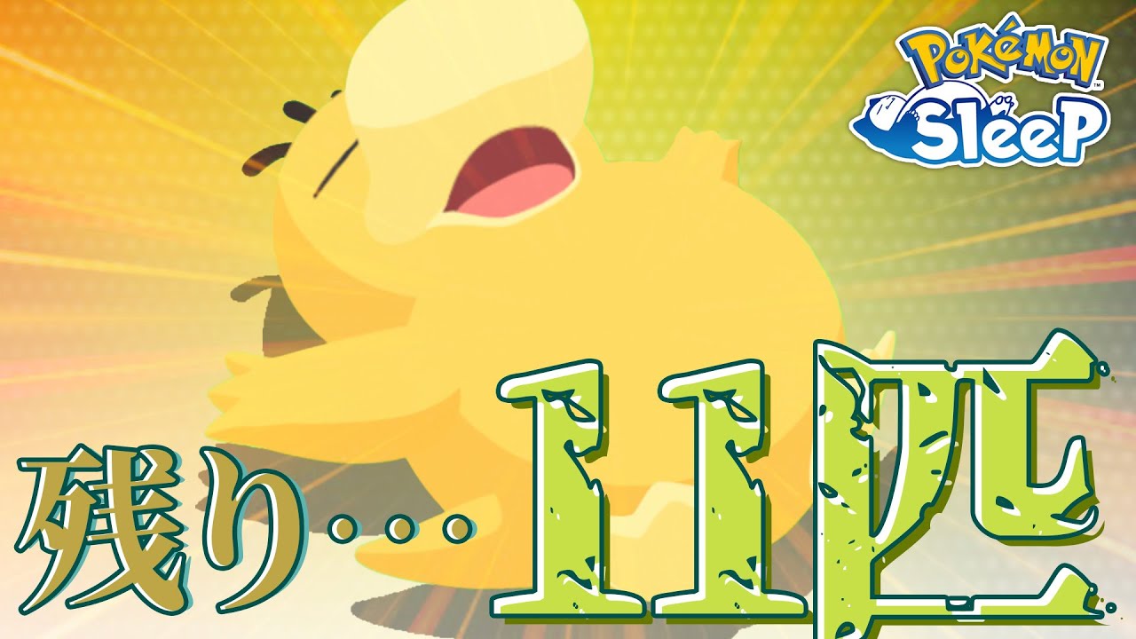 【ポケモンスリープ】コダック厳選のタイムリミットが迫ってまいりました