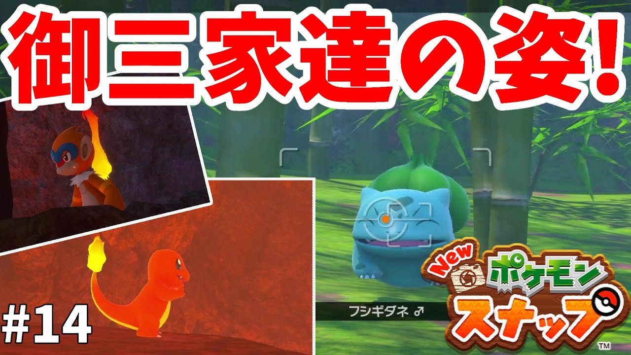 【Newポケモンスナップ】ヒトカゲにフシギダネも！？レアポケモンはカクレオン？新エリア続々解放！#14