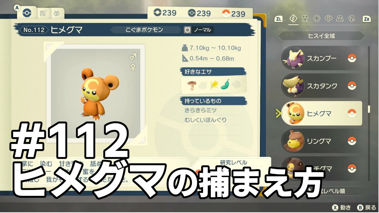 ヒメグマを探している方に見てほしい動画