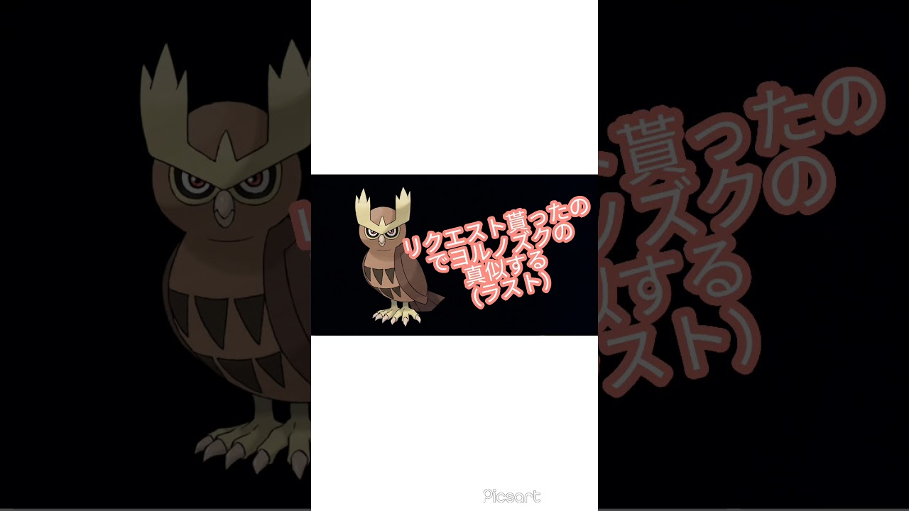 【アニポケ】リクエスト貰ったのでヨルノズクの真似する【ポケモン】
