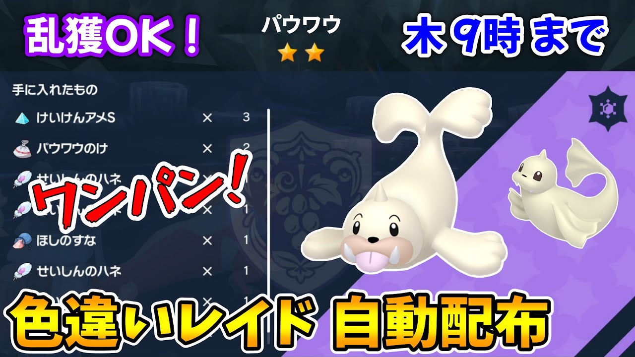 乱獲OK！パウワウ色違いレイド自動配布会！【ポケモンSV】